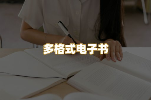 多格式电子书